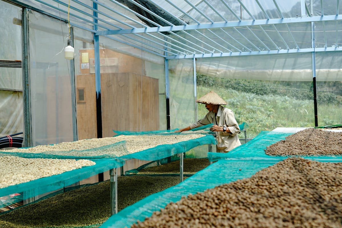 Honey (Pulped Natural) 1